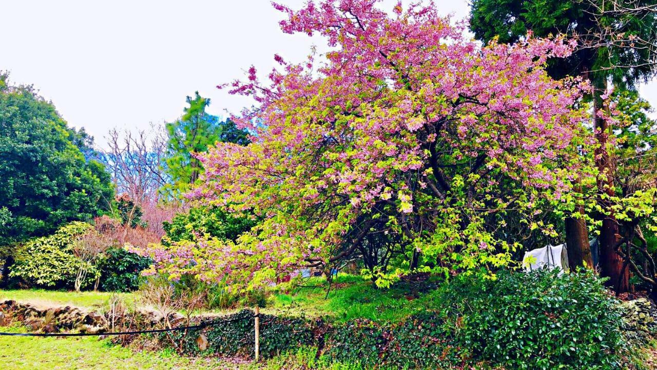 Forest Villa Olive Futo Exteriér fotografie
