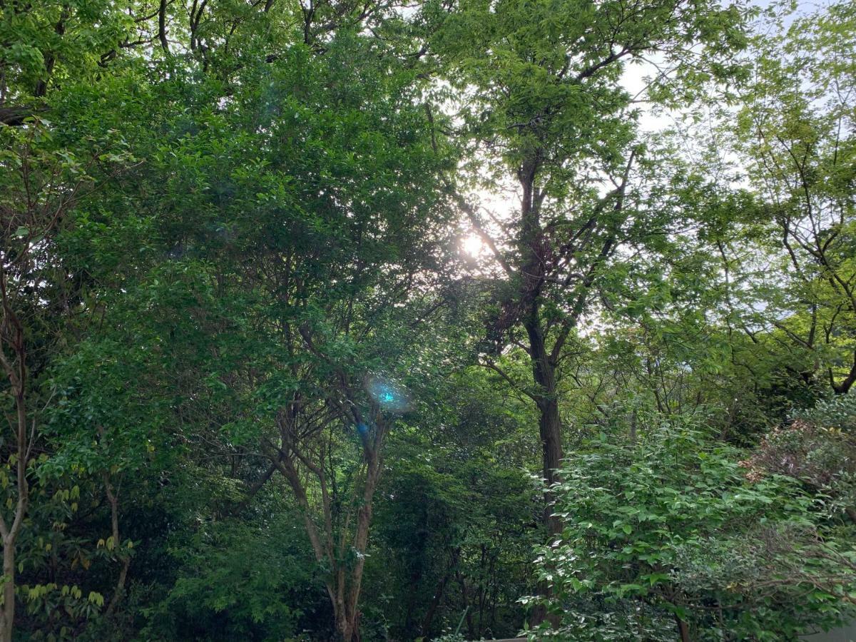 Forest Villa Olive Futo Exteriér fotografie